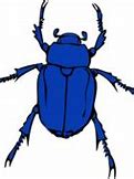 Image result for Beetle Insect Cartoon