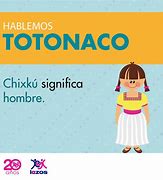 Image result for totonaco