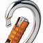 Image result for Circle Carabiner