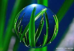 Image result for Fisheye Lens a Ball