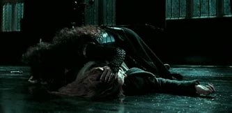 Image result for Les Miserables Night of Anguish Fandom Powered by Wikia