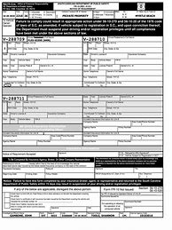 Image result for South Carolina FR 309 Form