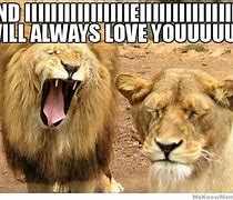 Image result for Let Me Love You Funny