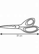 Image result for Herb Scissors