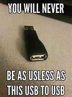 Image result for USB Flash Drive Meme