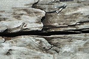 Image result for Driftwood Wall Boards
