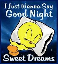 Image result for Goodnight Someone Cares About You Memes