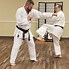 Image result for The Karate Tree Stlyes