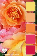 Image result for iPhone Rose Pink Color