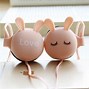 Image result for Bunny Ear Headphones