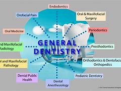 Image result for Types of Dental Specialty