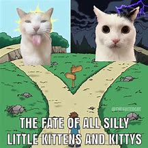 Image result for Goofy Ahh Cat Memes