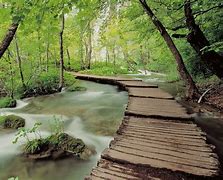 Image result for Desktop Wallpaper Nature Scenes