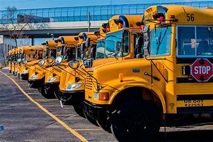 Image result for Transportation School Buses