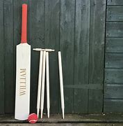 Image result for Cricket Set for Kids