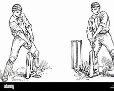 Image result for Playing Cricket