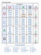 Image result for Genetic Code