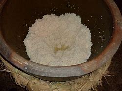 Image result for Rice Baijiu