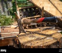 Image result for AX Cut Tree