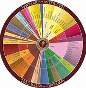 Image result for Aroma Wheel