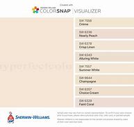 Image result for Champagne Paint Color