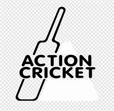 Image result for Indoor Cricket Symbol