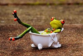 Image result for Silly Frog Images