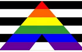 Image result for What Does the Straight Flag Look Like