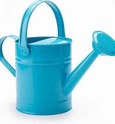 Image result for Garden Tools Watering Can