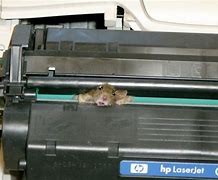 Image result for Dead Ink Jet Printer Cartridge Funny