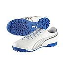 Image result for Puma One.8 Cricket Shoes