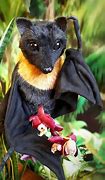 Image result for Plastic Toy Bat