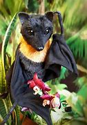 Image result for Image Stuffed Bat Toy