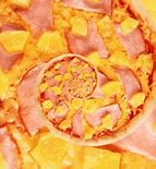 Image result for First Italian Pineapple Pizza Meme