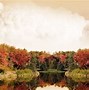 Image result for Fall Dual Monitor Wallpaper