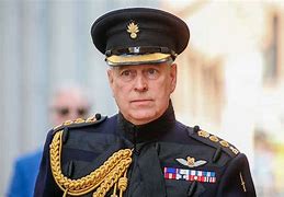 Image result for Prince Andrew Military