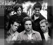 Image result for Twilight Series