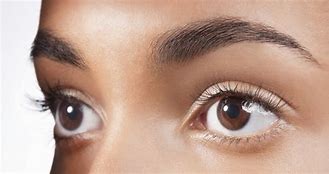 Image result for Eyebrow waxing