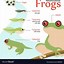 Image result for 3D Life Cycle of a Frog