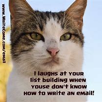 Image result for My Email Is Well Written Meme