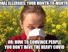 Image result for Seasonal Allergies Funny
