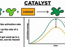 Image result for catalyst