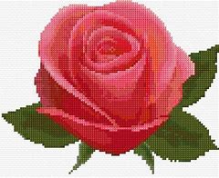 Image result for Cross Stitch English Rose