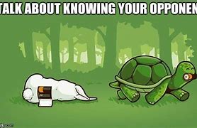Image result for Tortoise vs Hare Meme