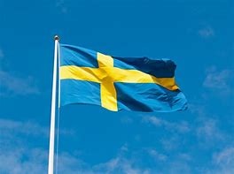 Image result for Svenska Flag