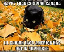 Image result for November 1st Cat Meme