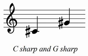 Image result for Sharp Notes On Piano