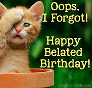 Image result for Forgot Your Birthday Cat