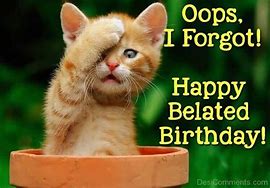 Image result for Belated Birthday Cat
