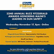 Image result for Maine passes gun safety bills